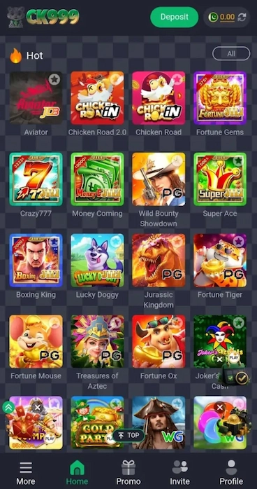 CK999-Game-Interface