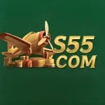 s55 Game icon