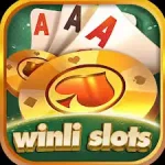 winli slots game icon