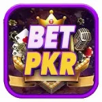Betpkr Game logo